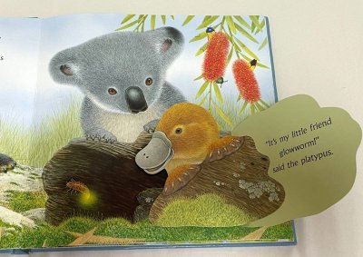 画像2: Kippy Koala (Giant Peek-And-Find) ◇ワクワクしながら動物を発見することができる絵本