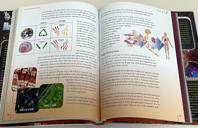 画像2: Dr. Art's Guide to Science◇科学の素晴らしいアイデアを探求することができる英語絵本