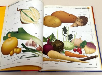 画像1: Scholastic Visual Dictionary◇コンピュータ・グラフィックスによる700にも及ぶイラストを使った目で見る辞書