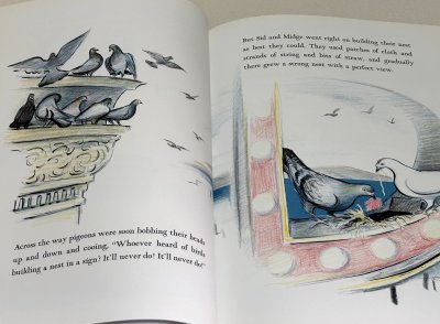 画像1: Fly High, Fly Low とんで とんで サンフランシスコ◇都会に生きる小さな命たちの、大きな愛の物語