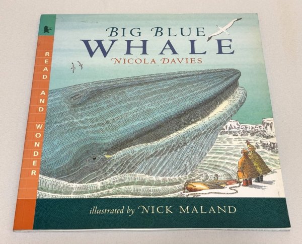 画像1: Big Blue Whale◇地球でいちばん大きな動物「シロナガスクジラ」について、やさしい言葉と美しいイラストで紹介する英語絵本 (1)
