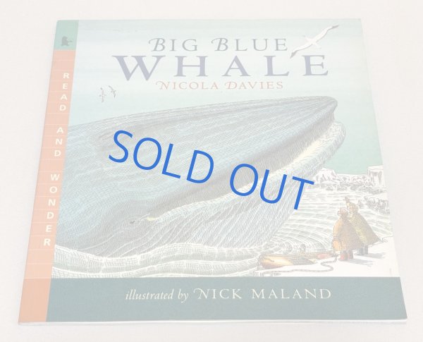 画像1: Big Blue Whale◇地球でいちばん大きな動物「シロナガスクジラ」について、やさしい言葉と美しいイラストで紹介する英語絵本 (1)