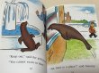 画像3: Sammy the Seal◇冒険好きなアザラシのサミーが「今日こそ動物園から脱走！」と決め、大都会へ飛び出すお話 (3)