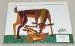 画像4: Does a Kangaroo Have a Mother, Too?◇カンガルーの赤ちゃんも他の動物と同じように“お母さんがいるんだよ”と教えるあたたかいお話 (4)