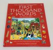 画像1: First Thousand Words in English◇日常のもの・場所・動物を英語で1000語も学べる、大きなイラスト辞典 (1)