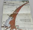 画像3: The Dance Tiger おどりトラ◇いたずら好きな虎が、人々を驚かせ、笑わせ、やがて大切なダンスパートナーになる…韓国伝統の“踊る虎”のユーモラスな民話 (3)